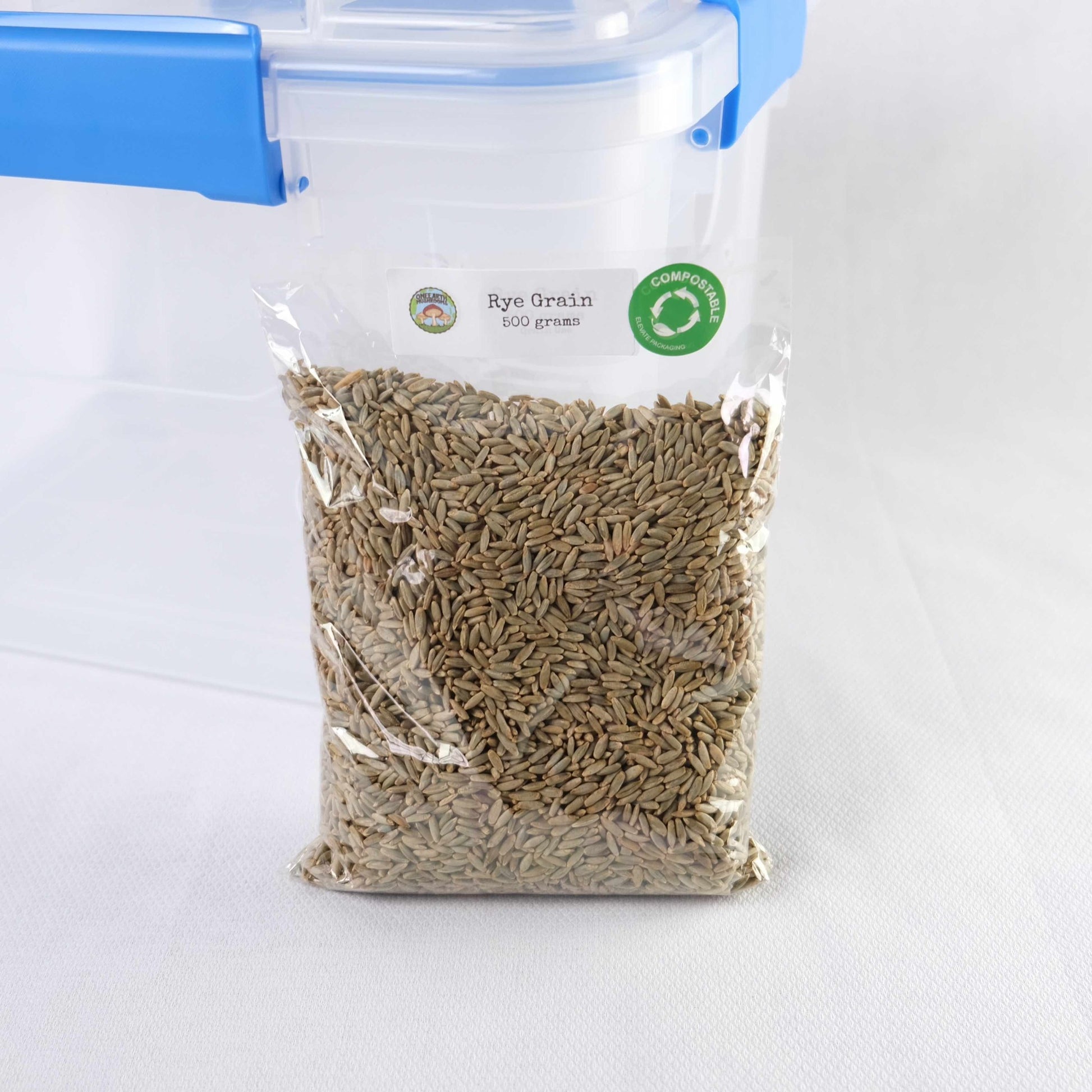 500 grams of organic rye grain that will be used in conjunction with the glass spawn jars for the cultivation of mushroom mycelium.