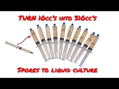 This video shows how I use a 10cc spore syringe to create 310 cc's of liquid mycelium culture.